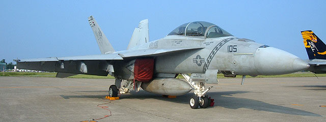 VFA-192(World Famous Golden Dragons)@NF105