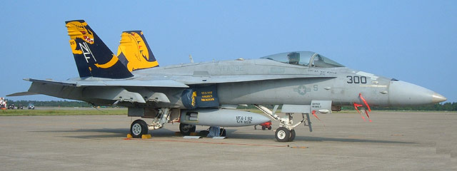 VFA-192(World Famous Golden Dragons)@NF300